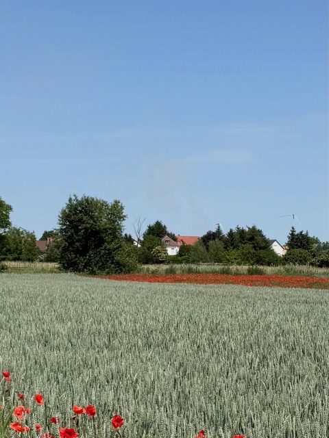 📟 Einsatz Nr. 25/2026 📟

🚨 B1.02 Gebüschbrand
🗓 29.05.2026, 13:40 Uhr
📍 Ort: Dirmstein
🚒 Ausgerückte Fahrzeuge: TLF
⏱ Einsatzdauer: 30 Minuten

#wirfürdirmstein #wirfüreuch #247