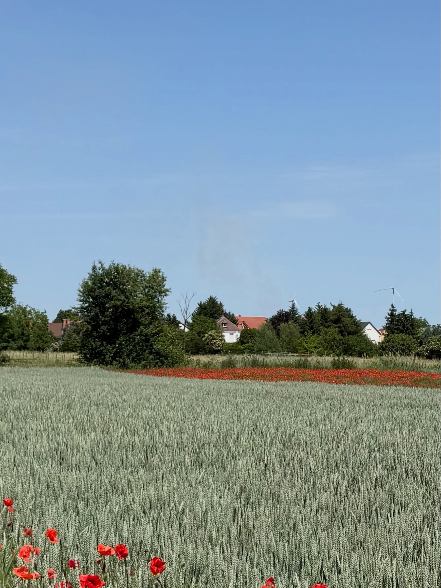 📟 Einsatz Nr. 25/2026 📟

🚨 B1.02 Gebüschbrand
🗓 29.05.2026, 13:40 Uhr
📍 Ort: Dirmstein
🚒 Ausgerückte Fahrzeuge: TLF
⏱ Einsatzdauer: 30 Minuten

#wirfürdirmstein #wirfüreuch #247