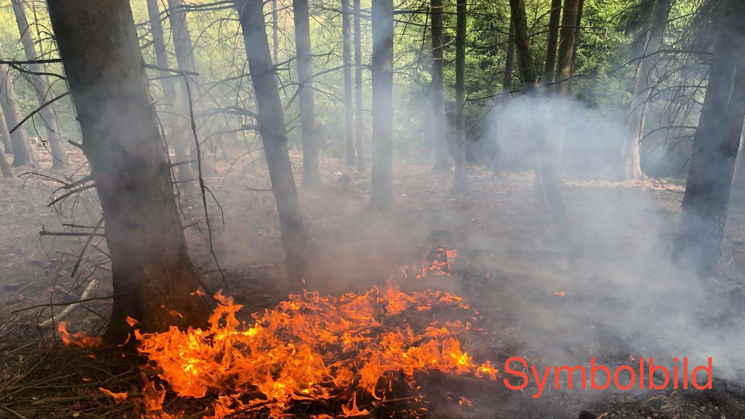 📟 Einsatz Nr. 30/2026 📟

🚨 B2.02 Vegetationsbrand groß (Versorgung der Einsatzkräfte)
🗓 19.06.2026, 17:38 Uhr
📍 Ort: Carlsberg
🚒 Ausgerückte Fahrzeuge: MZF-1
⏱ Einsatzdauer: 2,5 Stunden

#wirfürdirmstein #wirfüreuch #247