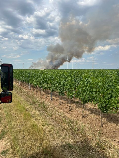 📟 Einsatz Nr. 38 + 39/2026 📟
🚨 B2.02 Vegetationsbrand groß
🗓 28.06.2026, 16:30 und 17:01 Uhr
📍 Ort: Heuchelheim
🚒 Ausgerückte Fahrzeuge: TLF, TSF-W, MZF-1
⏱ Einsatzdauer: 2 Stunden
Eingesetzte Feuerwehren
🚒 BF Worms
🚒 Heuchelheim
🚒 Heßheim
🚒 Frankenthal
🚒 Obrigheim
🚒 Großkarlbach-Laumerheim
🚒 Versorgungszug
🚒 FEZ Leiningerland
#wirfürdirmstein #wirfüreuch #247