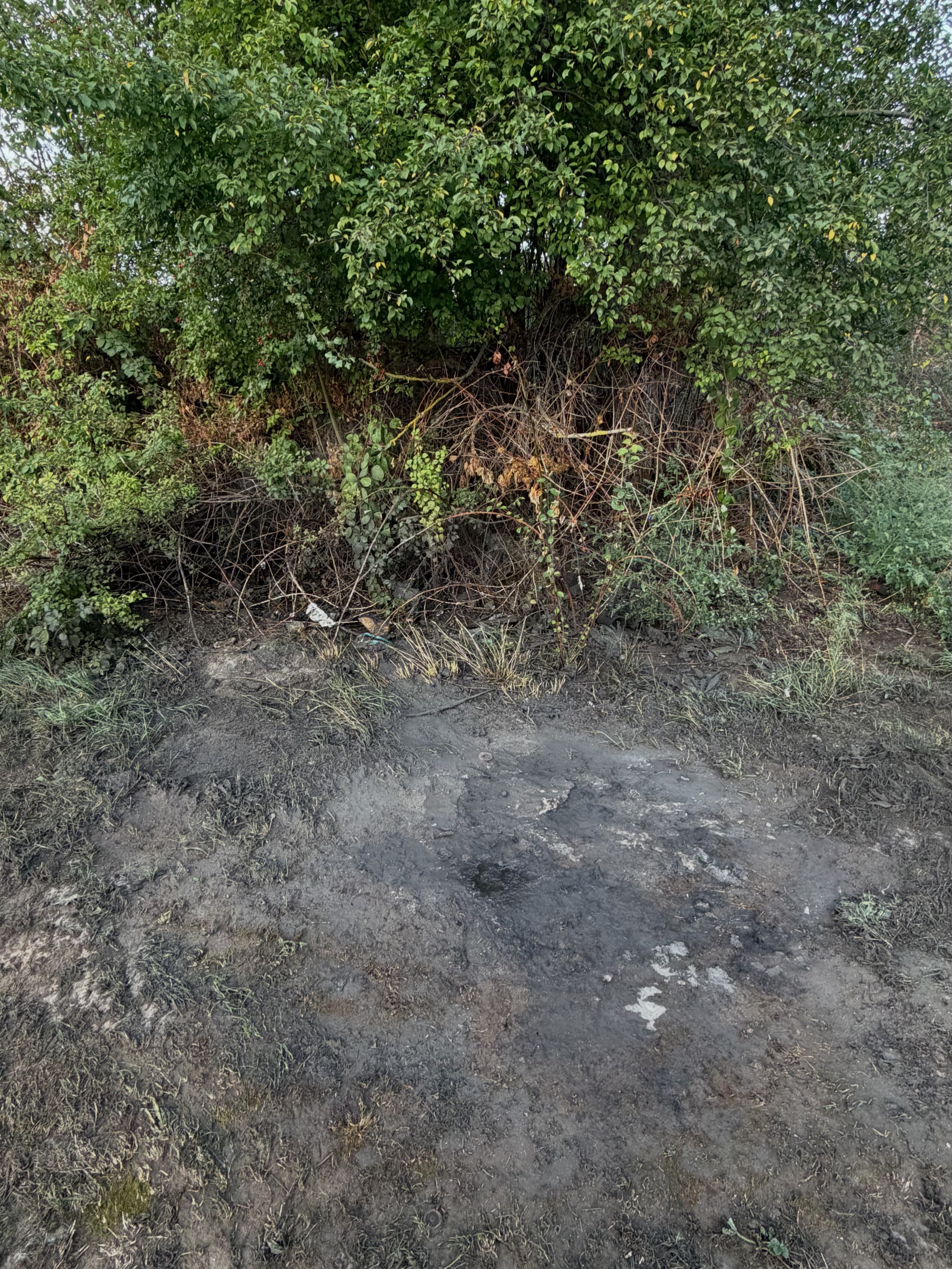 📟 Einsatz Nr. 59/2026 📟

🚨 B1.01 Müllbrand 
🗓 20.09.2026, 07:39 Uhr
📍 Ort: Laumersheim
🚒 Ausgerückte Fahrzeuge: TLF, TSF-W
⏱ Einsatzdauer: 30 Minuten